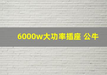 6000w大功率插座 公牛